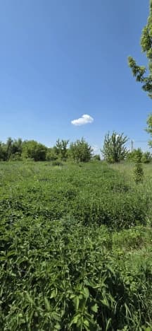 Купить земельный участок в селе Гремячье в Хохольском районе на улице Чехова, село Гремячье в Воронежской области. Вариант № 2184159, 0, площадь - квм, цена 1500000 рублей