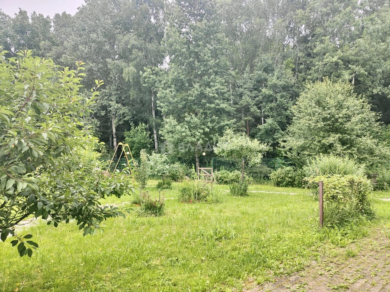 Photo 46