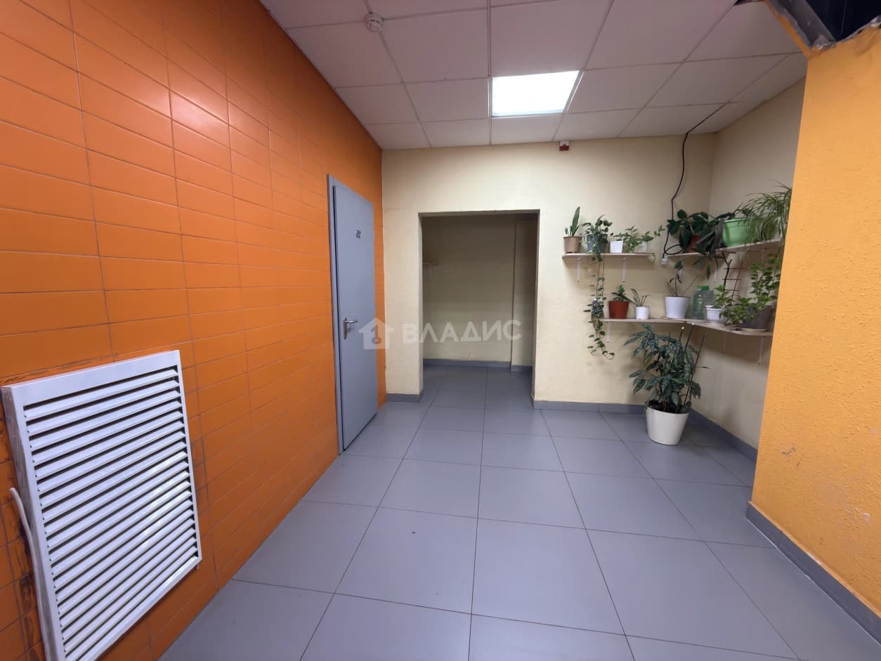 Photo 41