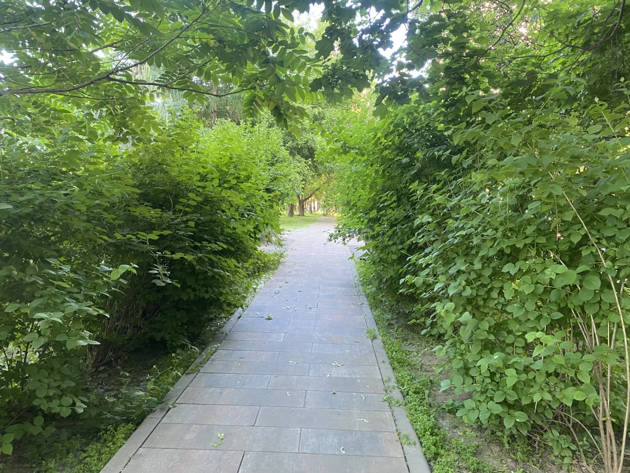 Photo 25