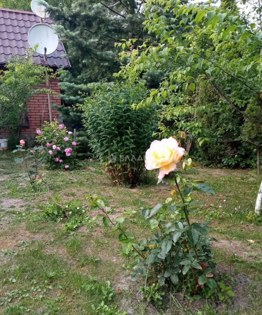 Photo 33