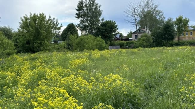 Купить земельный участок в селе Шава в Кстовском Муниципальном Округе в Нижегородской области. Вариант № 2204075, 0, площадь - квм, цена 790000 рублей