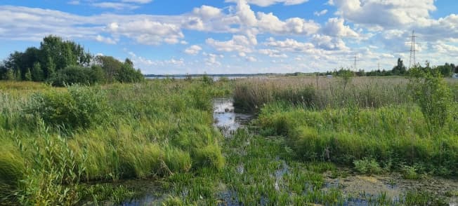 Купить земельный участок в селе Янишполе в Кондопожском районе в Республике Карелия. Вариант № 2292283, 1, площадь - квм, цена 3000000 рублей