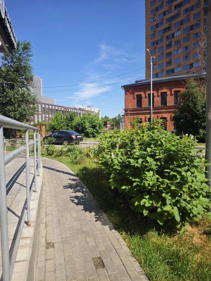 Photo 39