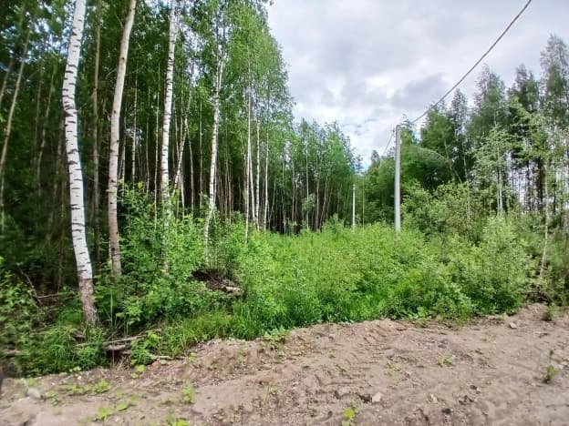 Купить земельный участок в ИЖС в Московской области. Вариант № 2099265, 1, площадь - квм, цена 1300000 рублей
