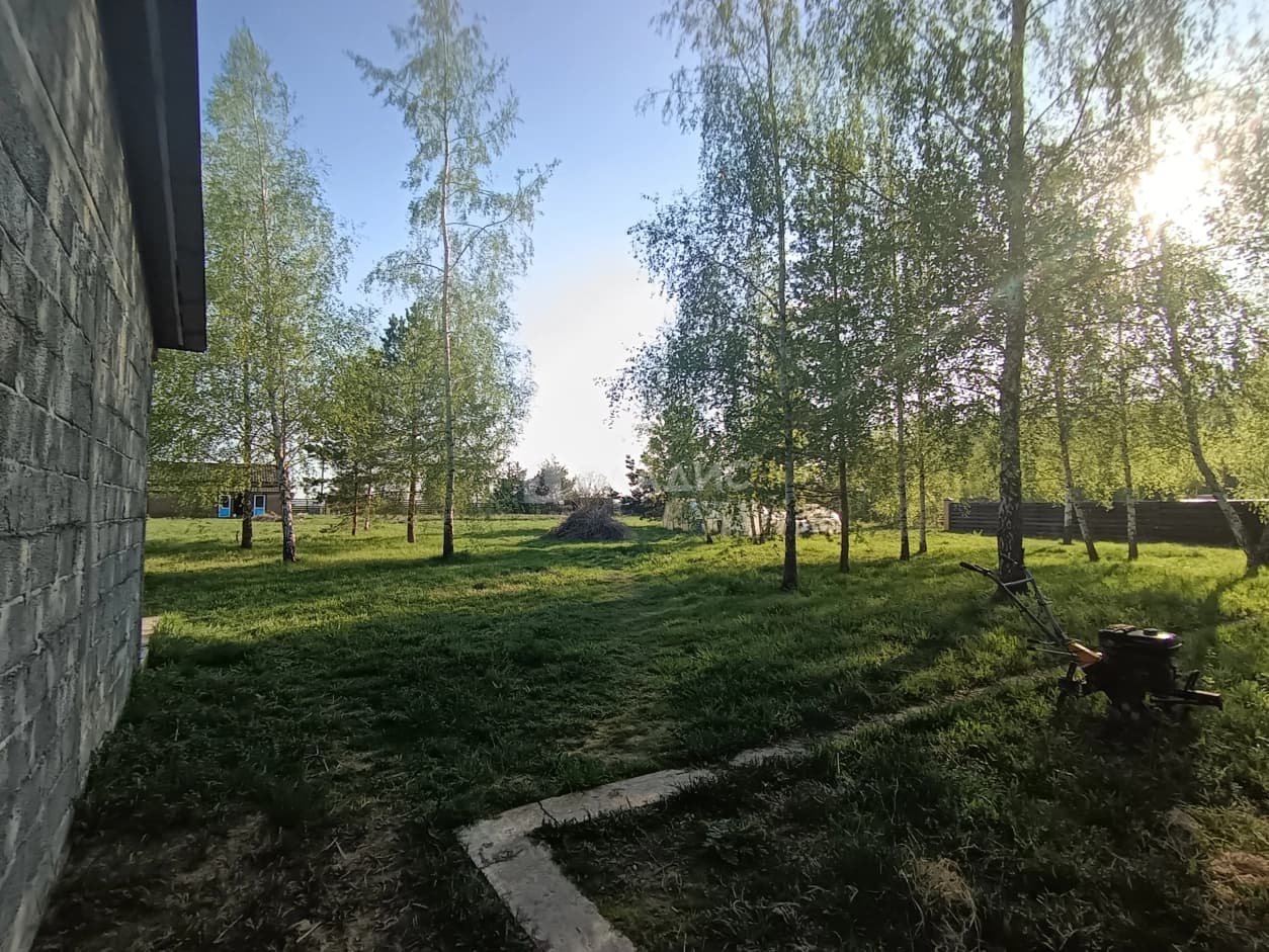 Photo 26