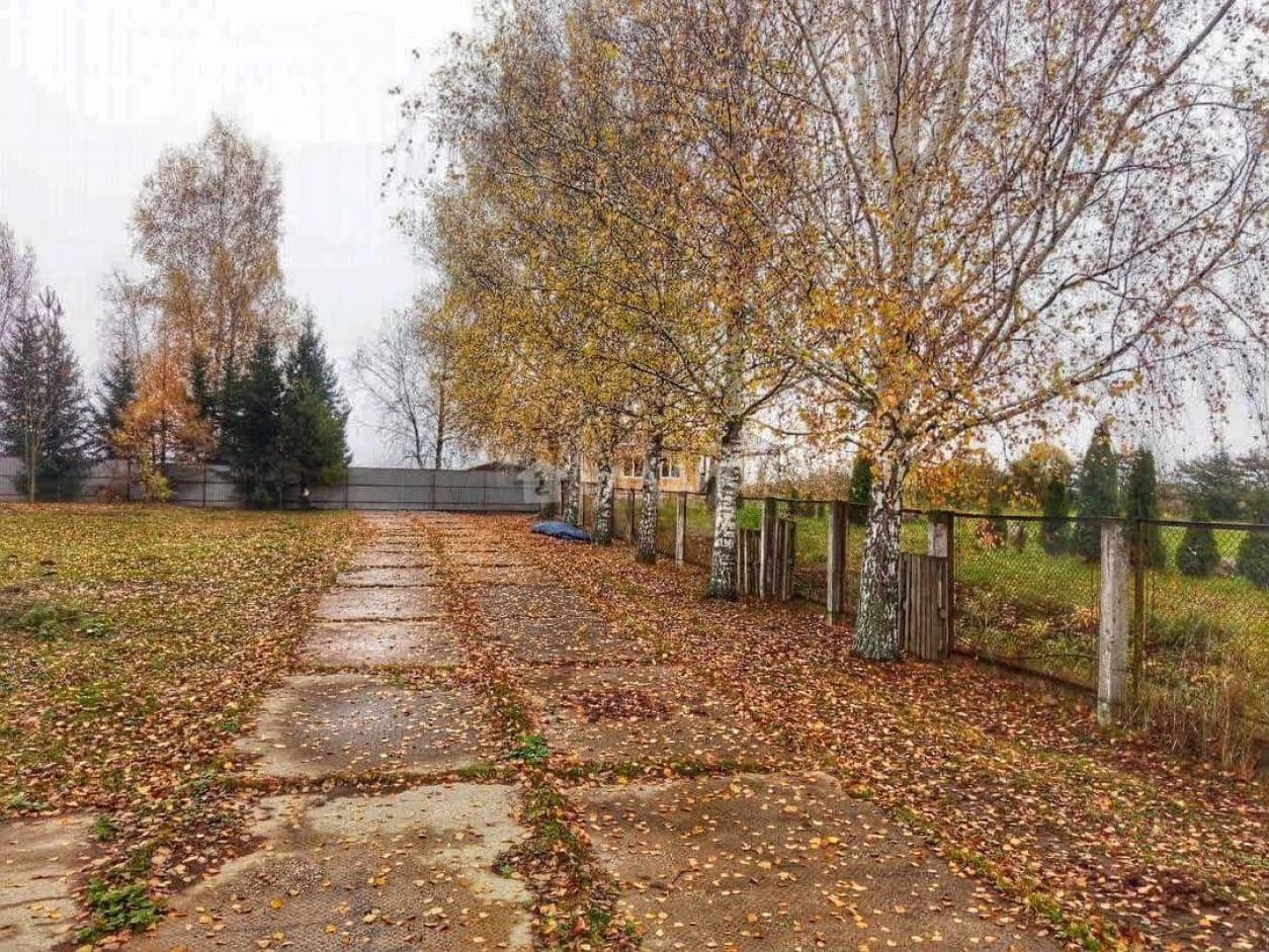 Photo 9