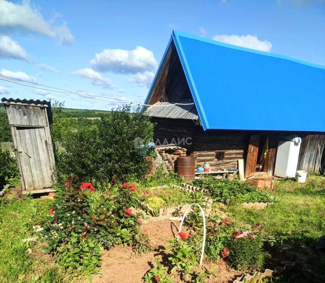 Photo 6