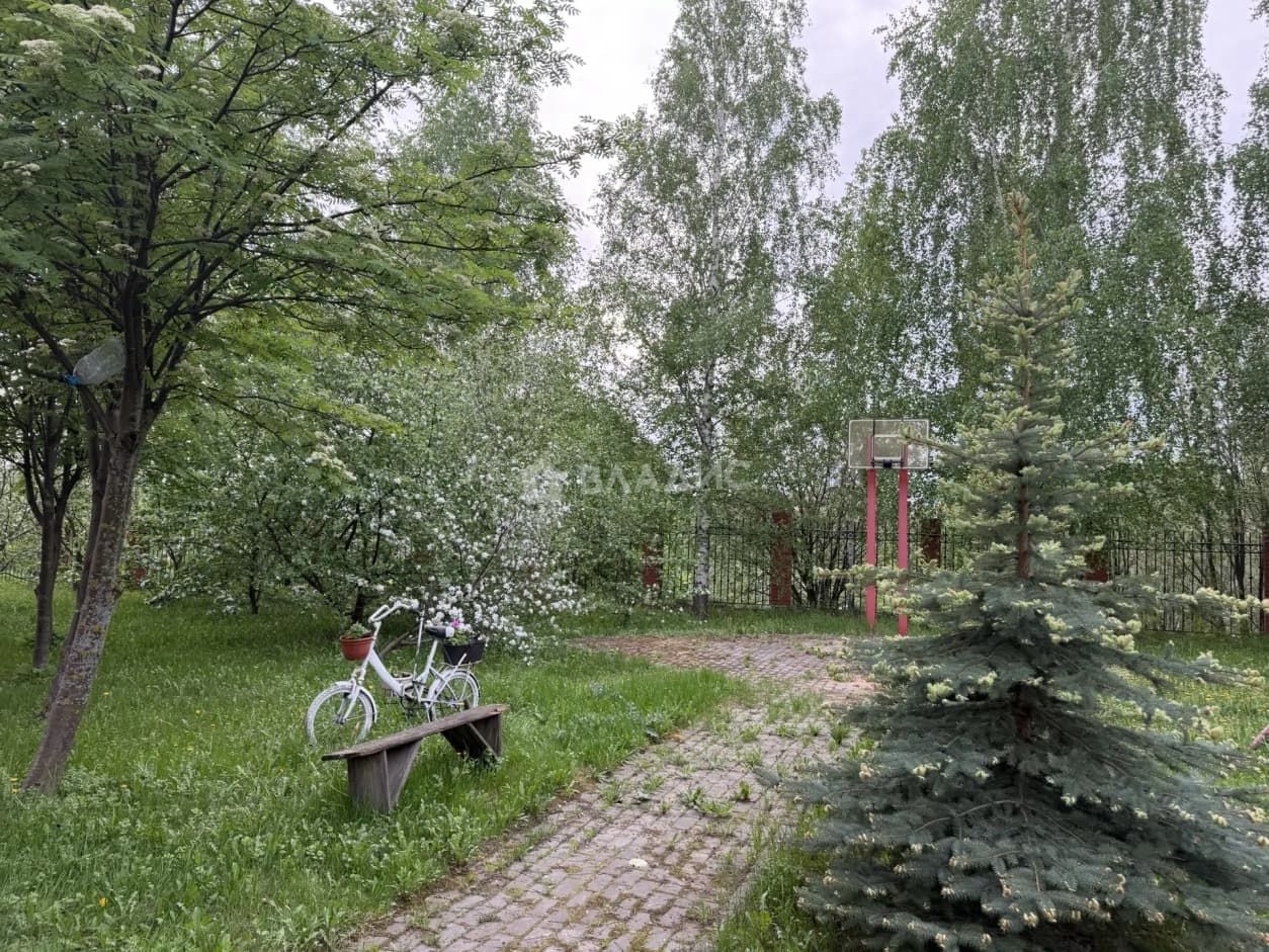 Photo 50