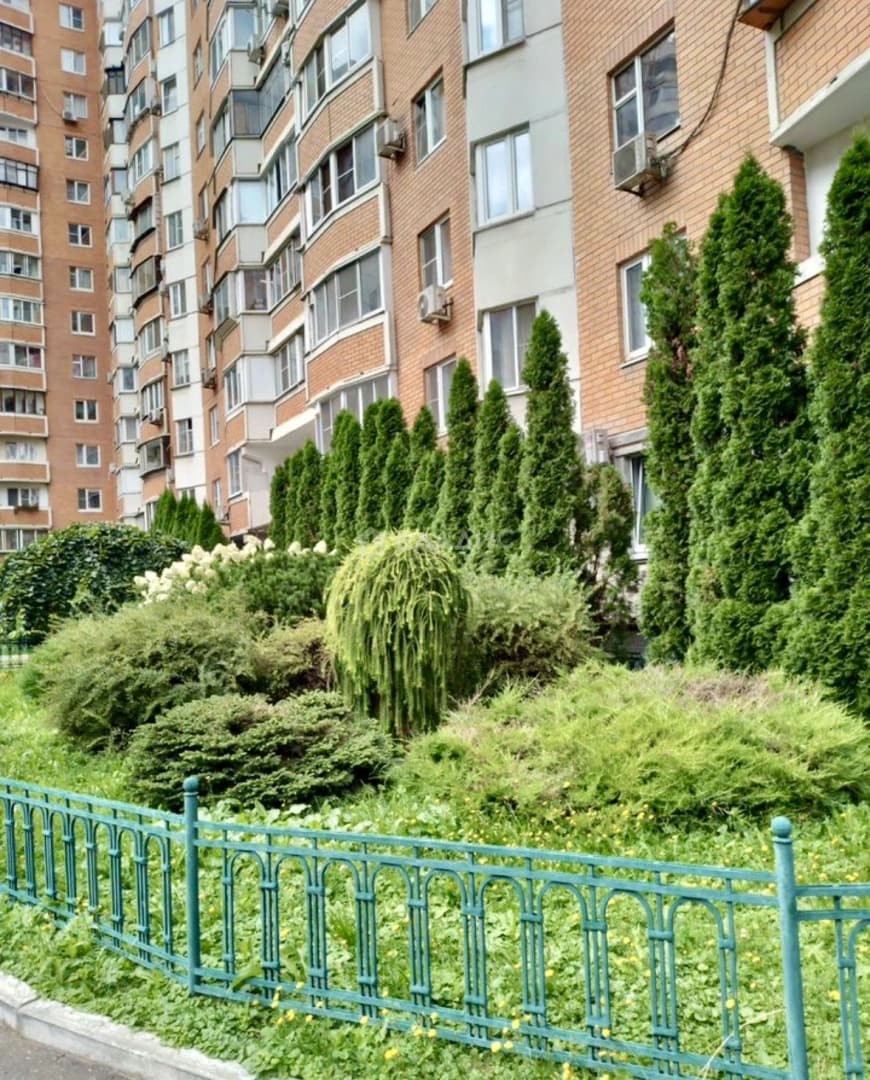 Photo 16