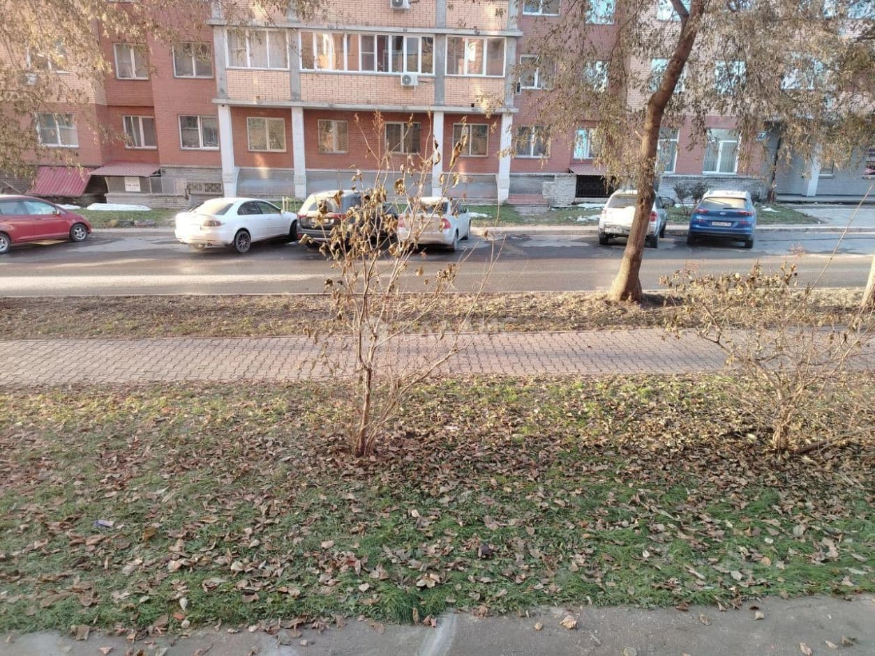 Photo 17