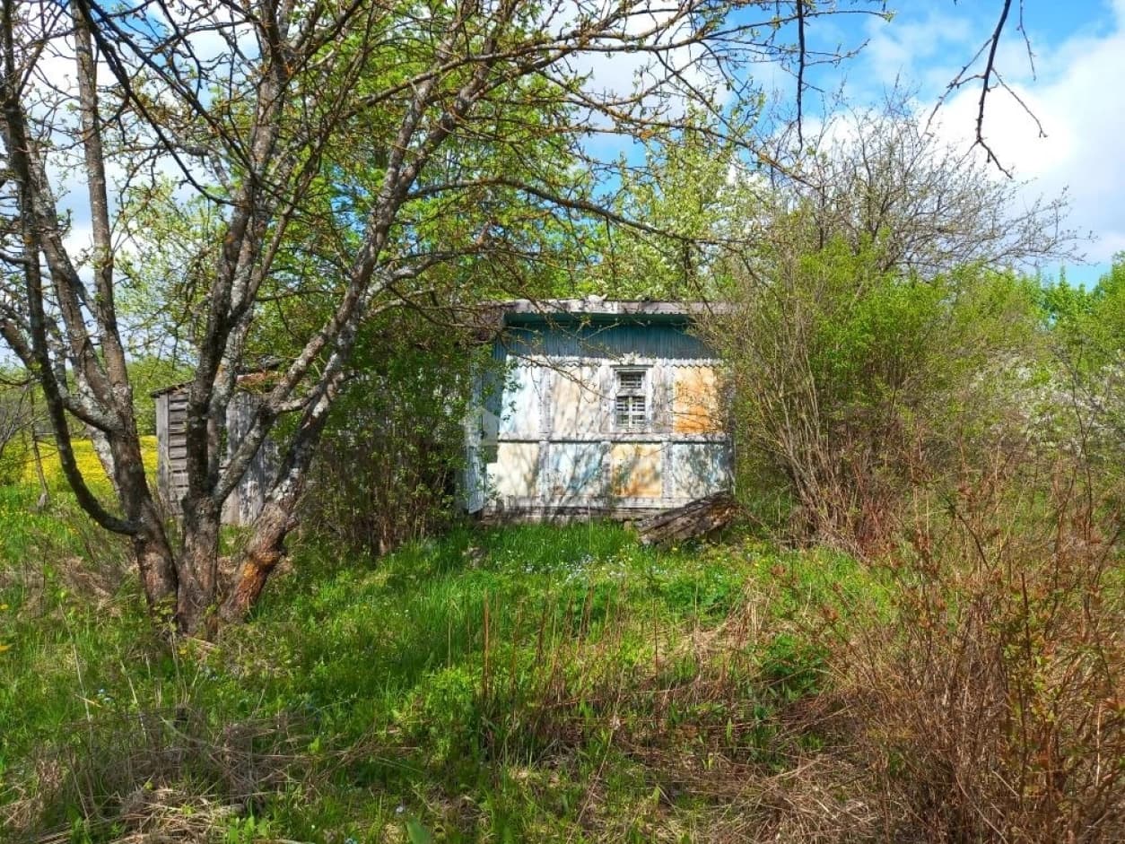Photo 5