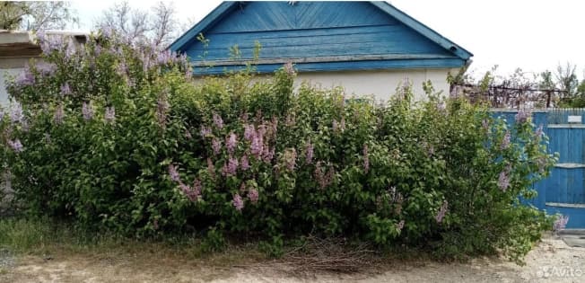 Купить земельный участок в Азовском районе в Ростовской области. Вариант № 2264169, 0, площадь - квм, цена 6500000 рублей