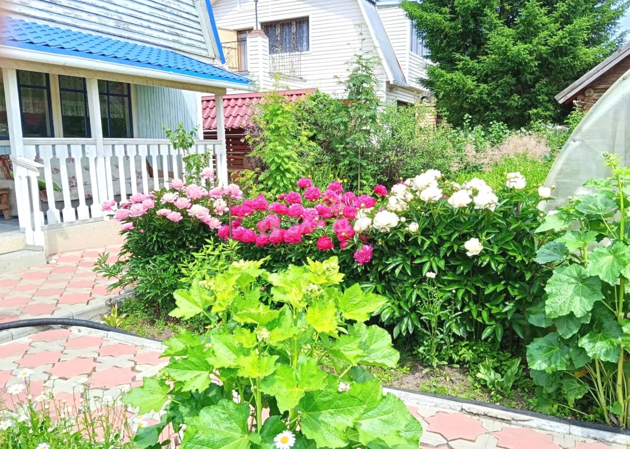 Photo 5