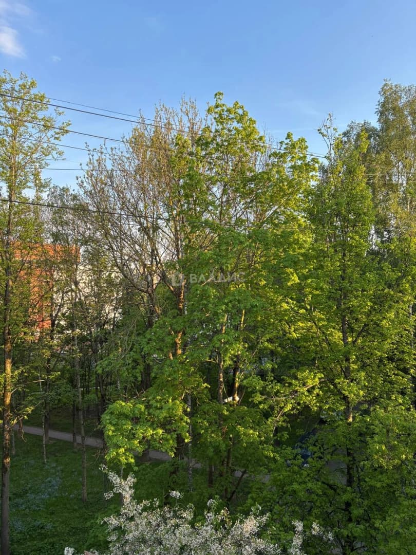 Photo 26