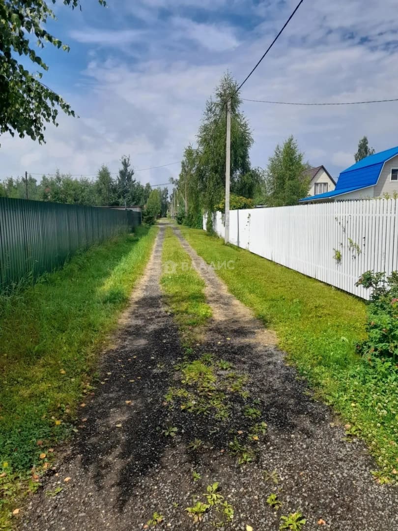 Photo 44