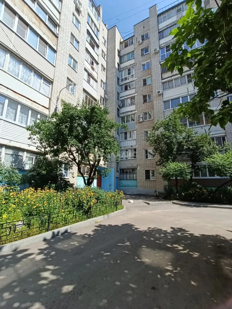Photo 31