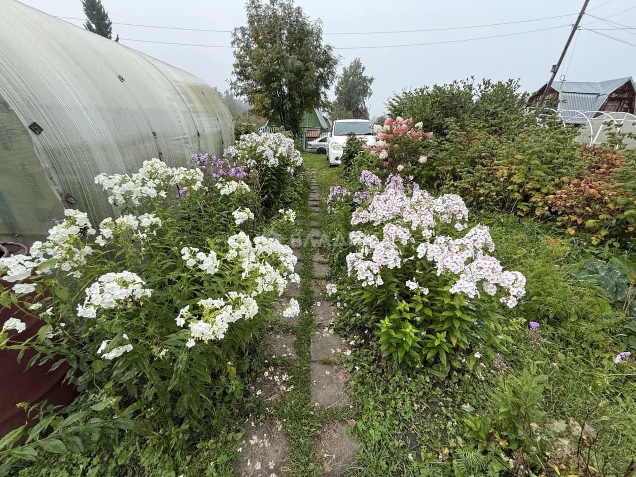 Photo 25