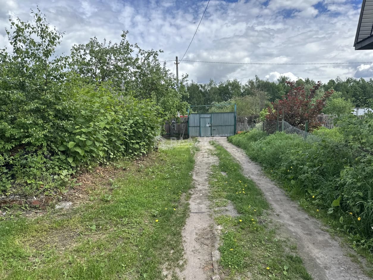 Photo 23
