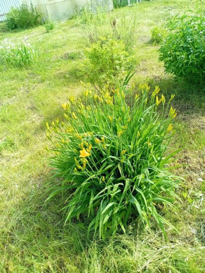 Photo 27