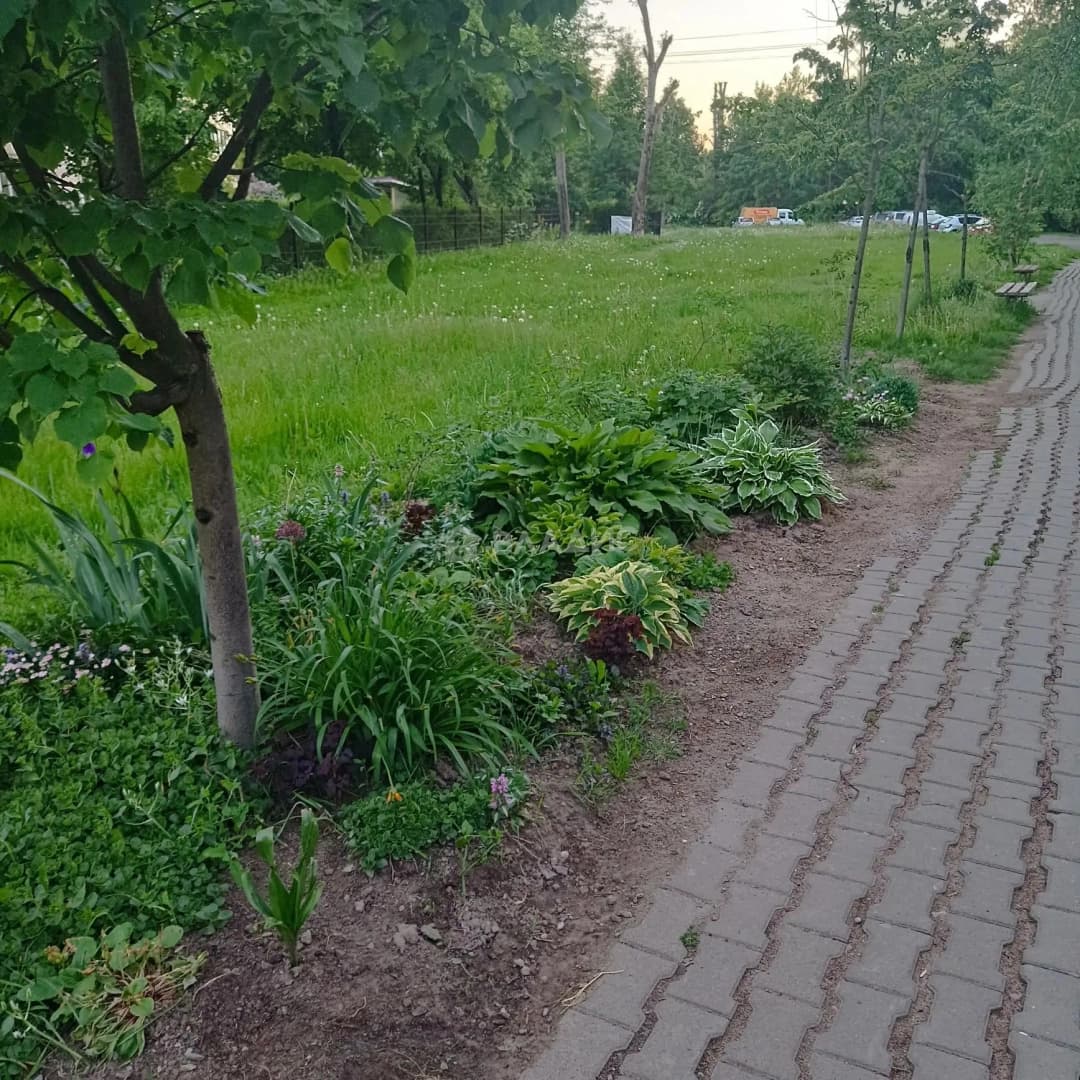 Photo 26