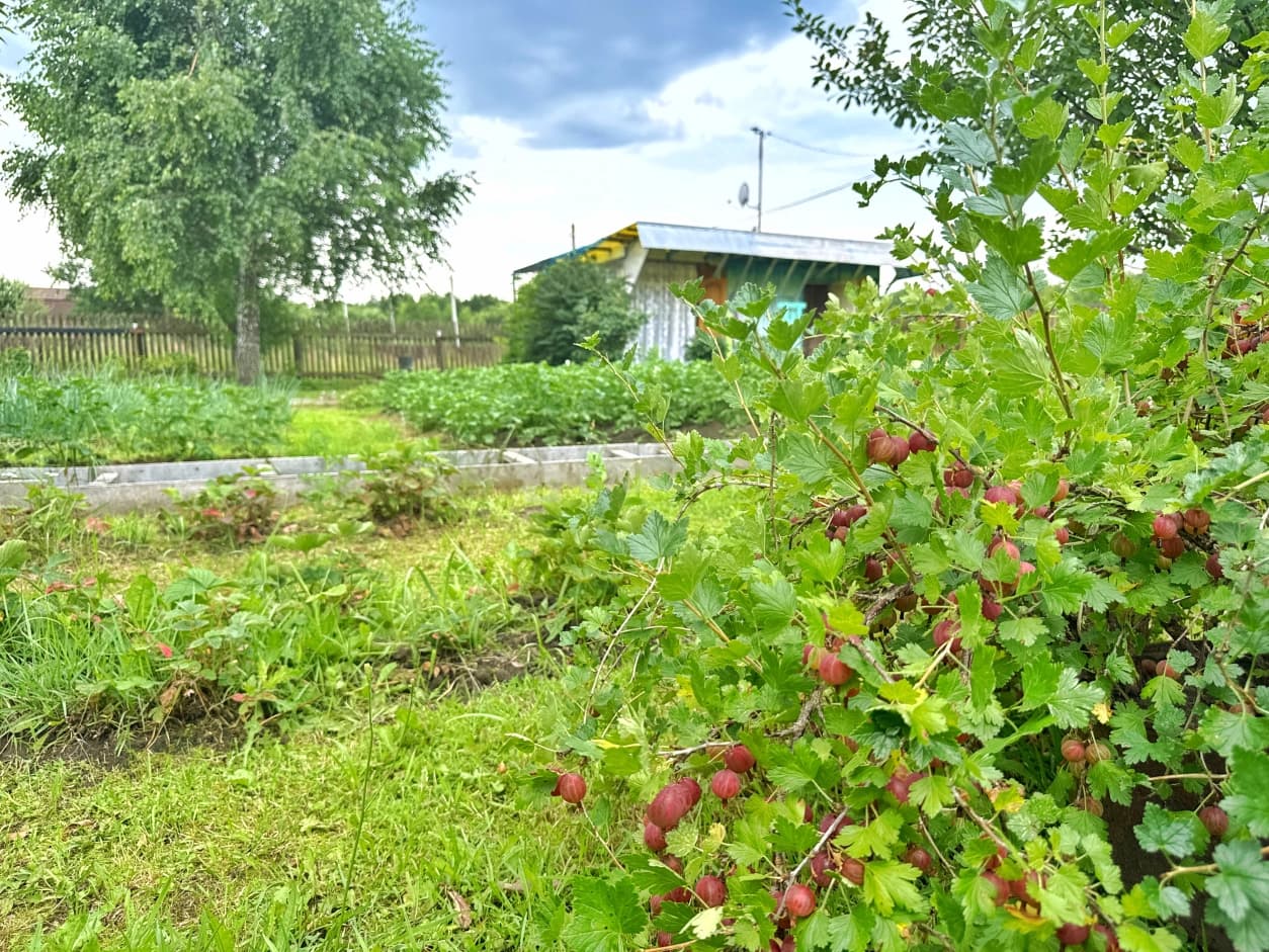 Photo 20