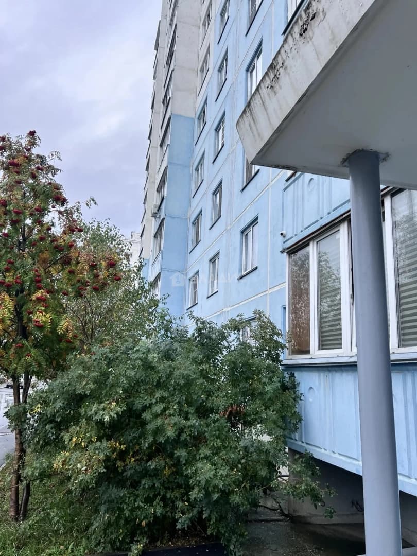 Photo 23