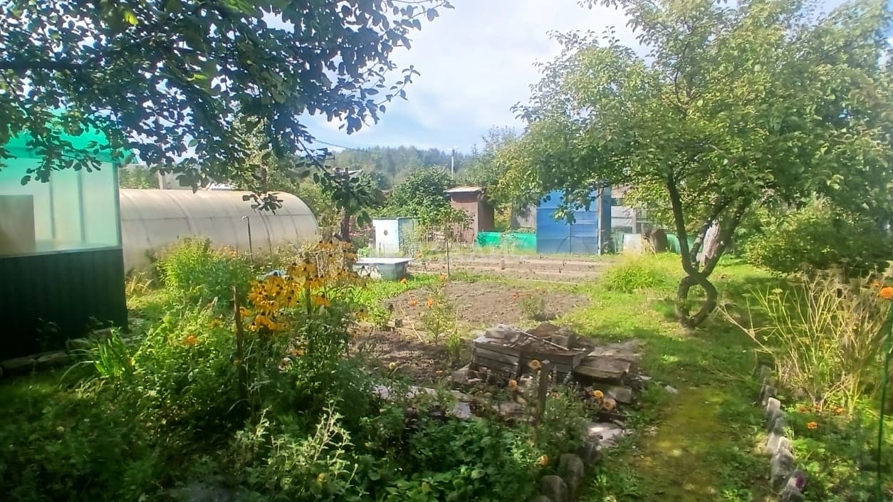 Photo 8