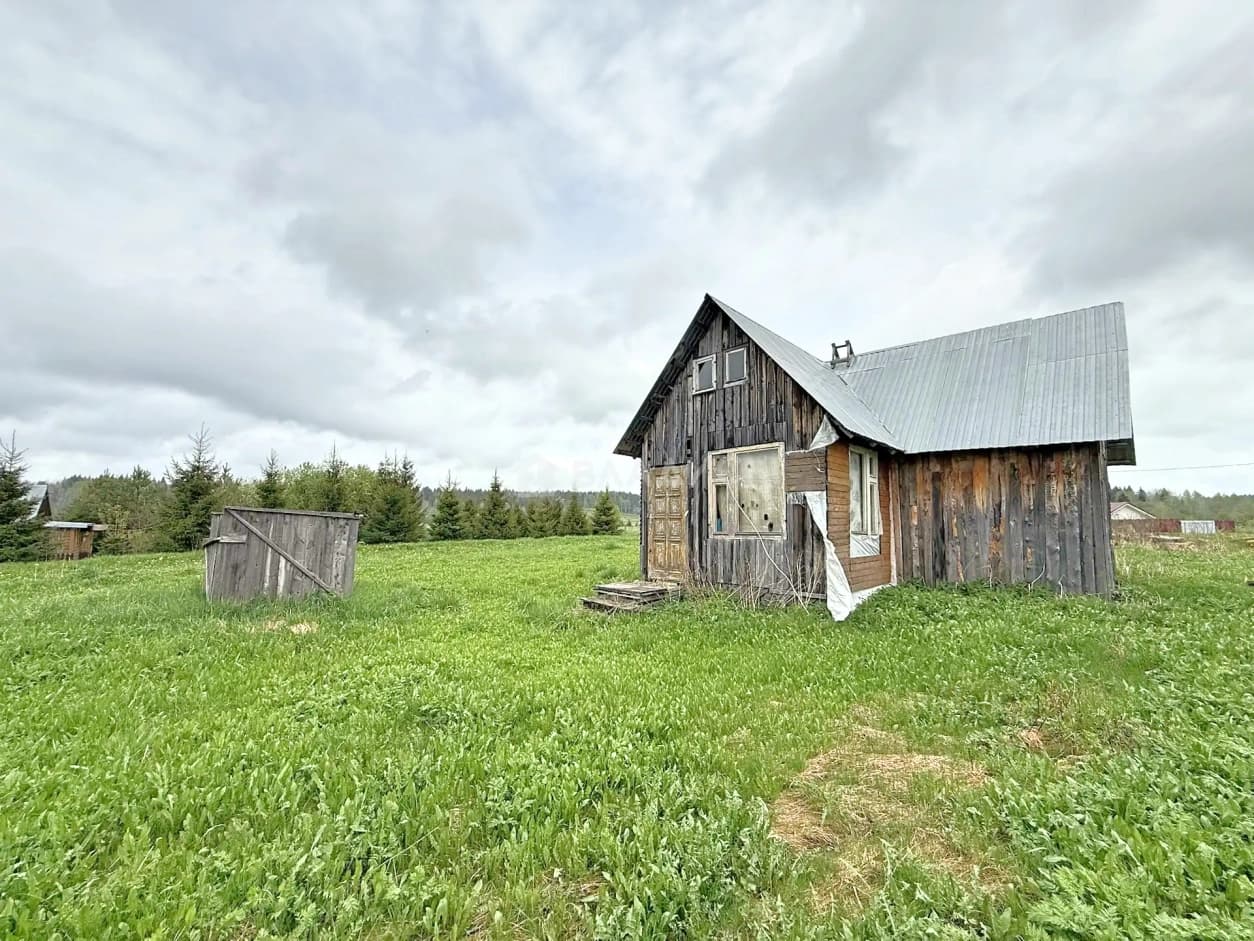 Photo 7