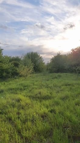 Купить земельный участок в Рабочом Посёлоке Разумном в Белгородском районе в Белгородской области. Вариант № 2393629, 0, площадь - квм, цена 2950000 рублей