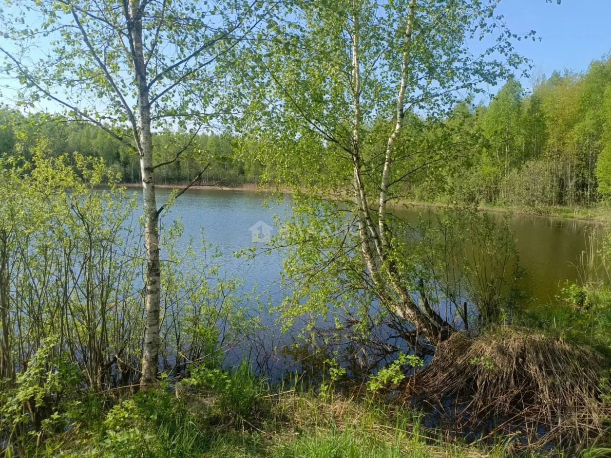 Photo 24