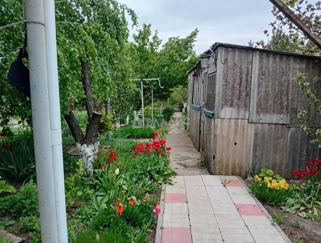 Photo 33