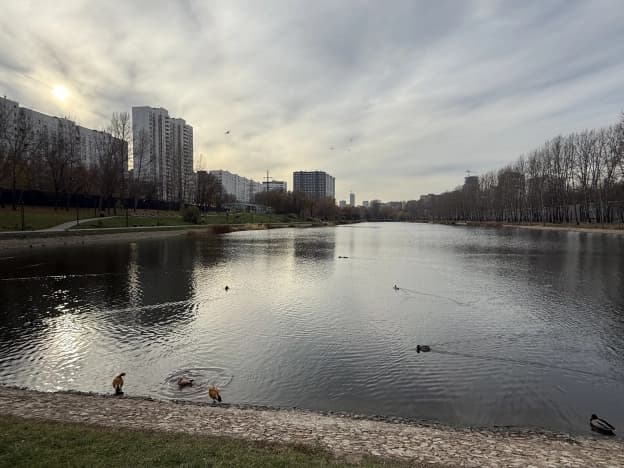 Купить однокомнатную квартиру в ЗАО в Москве. Вариант № 2397173, 1, площадь - квм, цена 19400000 рублей