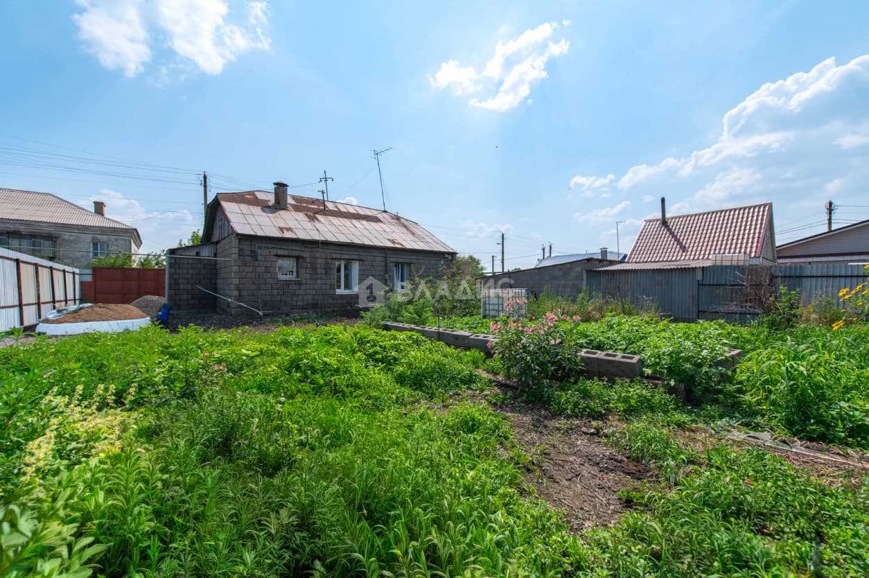 Photo 31