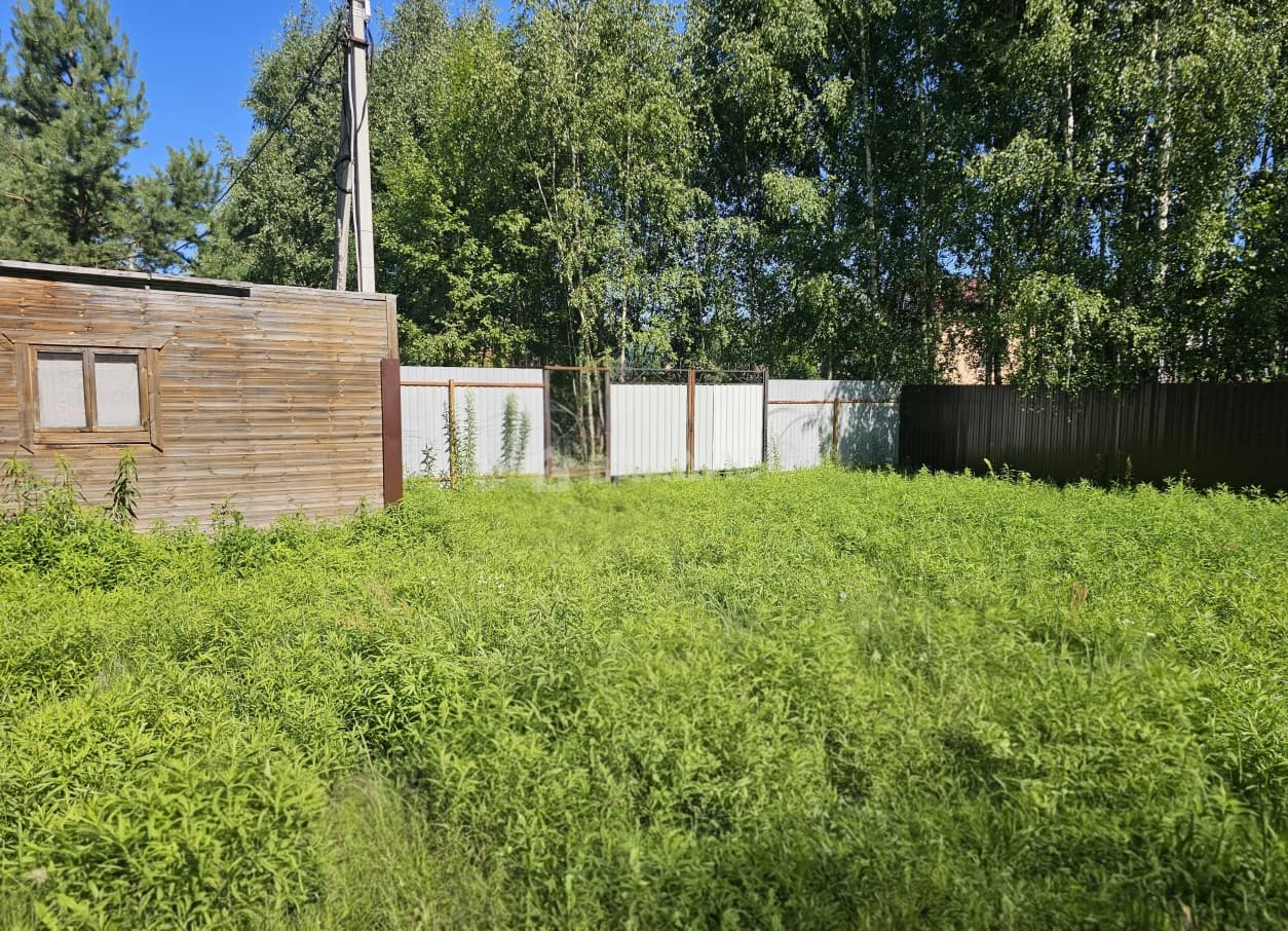 Photo 8