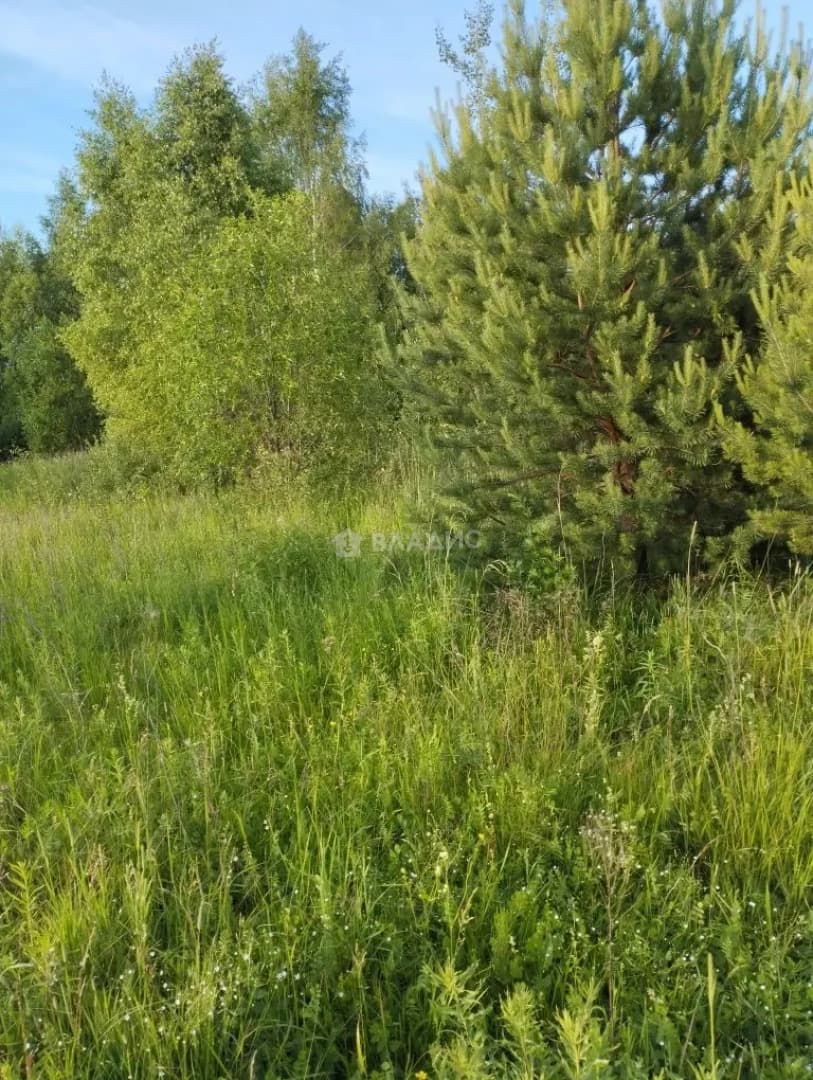 Photo 30