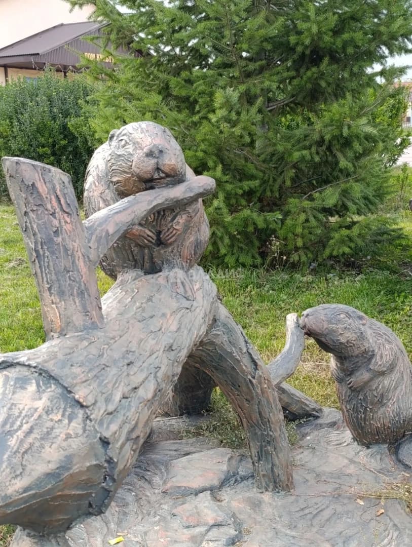Photo 27