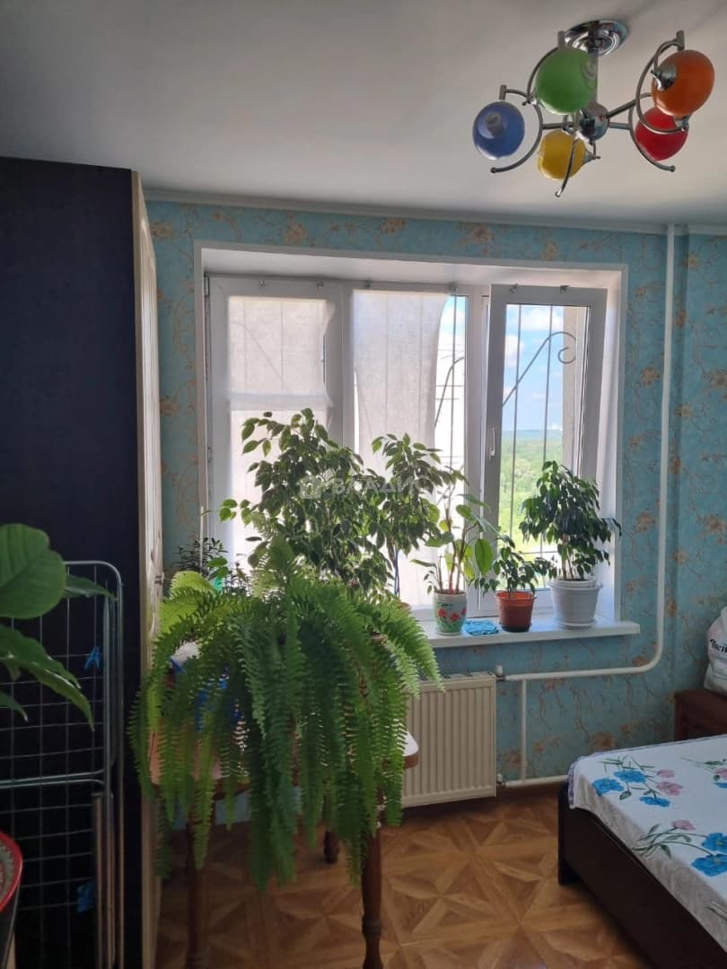 Photo 40