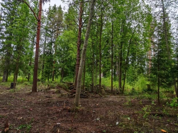 Купить земельный участок в Выборгском районе в Ленинградской области. Вариант № 2172462, 1, площадь - квм, цена 15000000 рублей