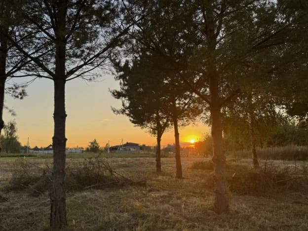 Купить земельный участок в Рязанском районе в Рязанской области. Вариант № 2351923, 0, площадь - квм, цена 1980000 рублей