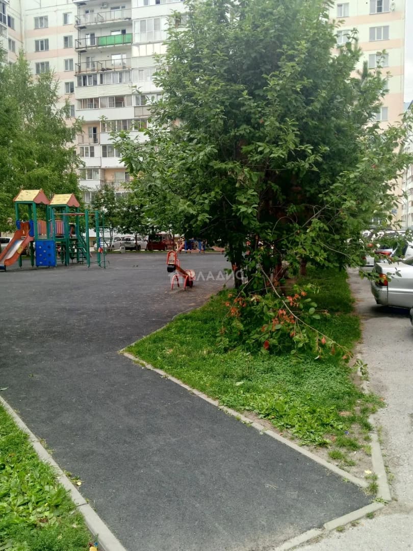 Photo 16