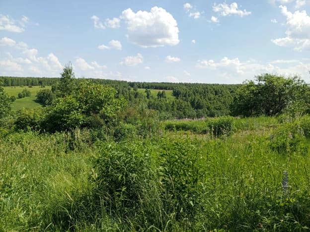 Купить земельный участок в Городищенском районе в Пензенской области. Вариант № 2200177, 0, площадь - квм, цена 450000 рублей