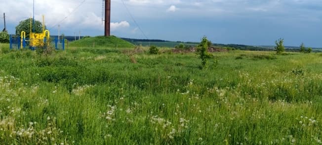 Купить земельный участок в Деревне Какузеве в Раменском Муниципальном Округе в Московской области. Вариант № 2188330, 1, площадь - квм, цена 450000 рублей