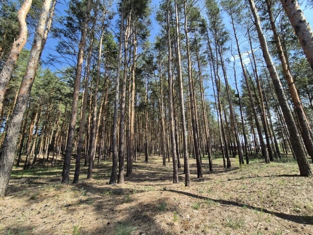 Купить земельный участок в Рязанской области. Вариант № 2152157, 1, площадь - квм, цена 3950000 рублей