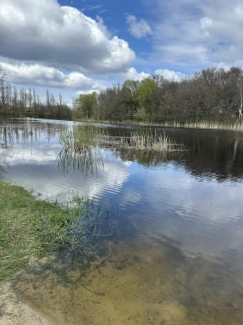 Купить земельный участок на улице 18-я в Воронеже. Вариант № 2238768, 1, площадь - квм, цена 1500000 рублей