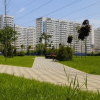Новые стандарты градостроения обсудили на форуме «Городская среда»